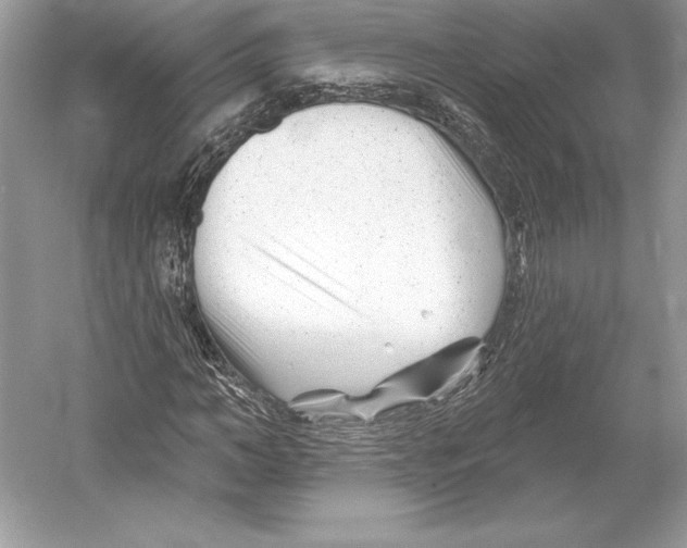 X0000052960966200508050944