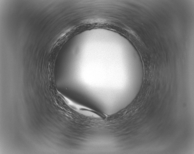 X0000052960967200508050944