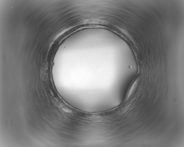 X0000052960971200508050944