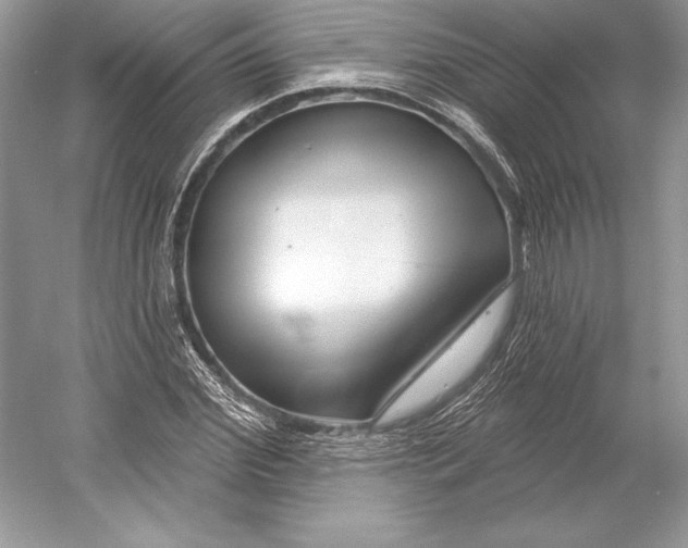 X0000052960972200508050944
