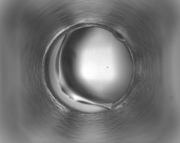 X0000052960976200508050944
