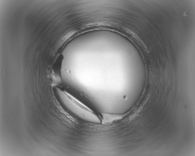 X0000052960977200508050944