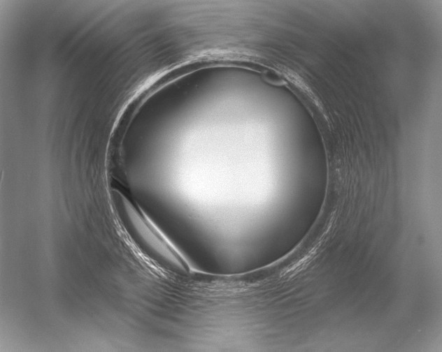 X0000052960981200508050944