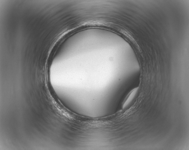 X0000052960984200508050944