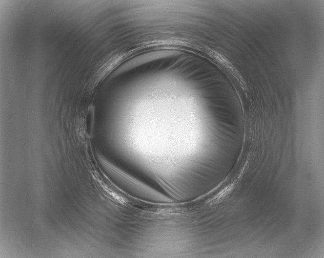 X0000052960985200508050944
