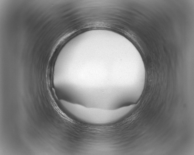 X0000052960987200508050944