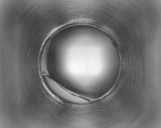 X0000052960989200508050944