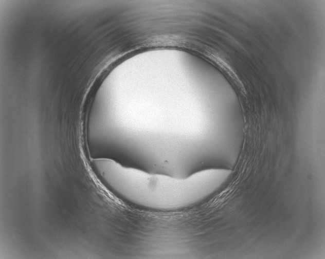 X0000052960992200508050943