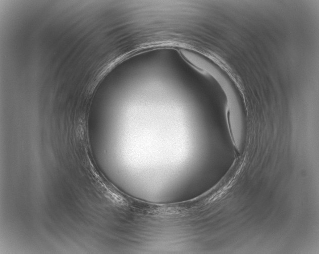 X0000052960993200508050943