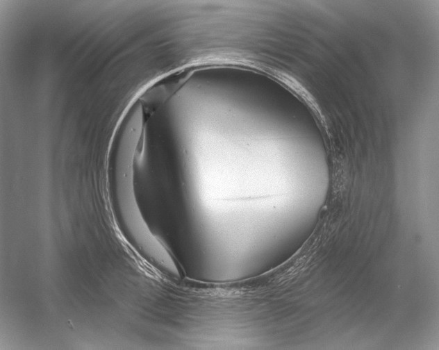 X0000052960996200508050943