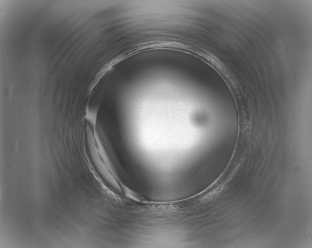 X0000052961001200508050943