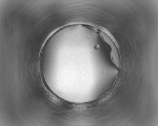 X0000052961004200508050943