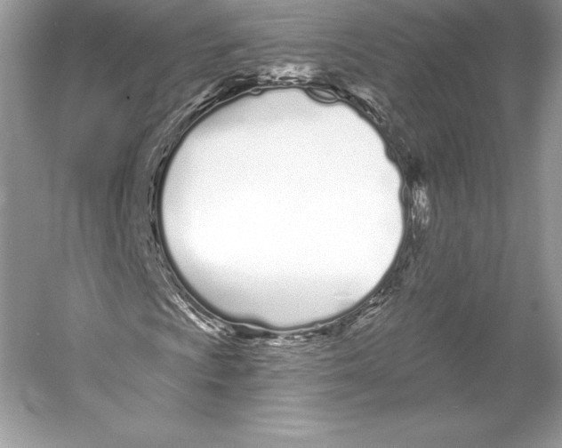 X0000052961009200508050942