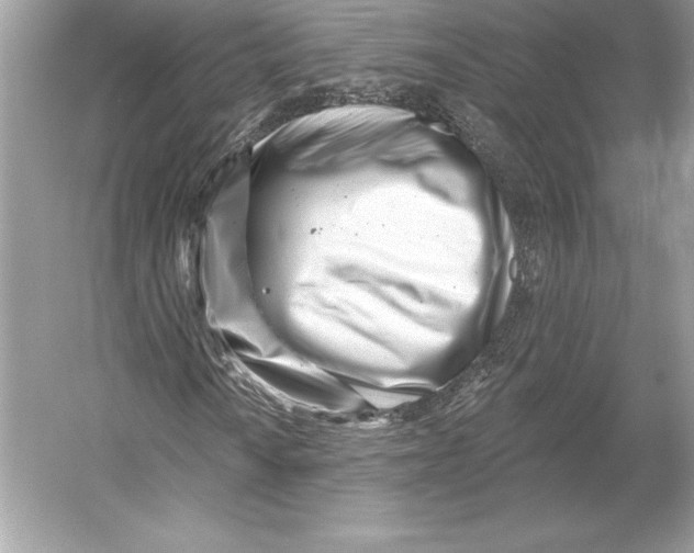X0000052961010200508050942