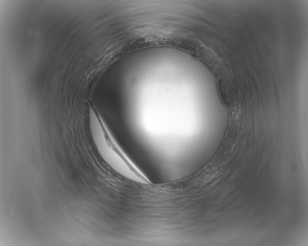 X0000052961012200508050942