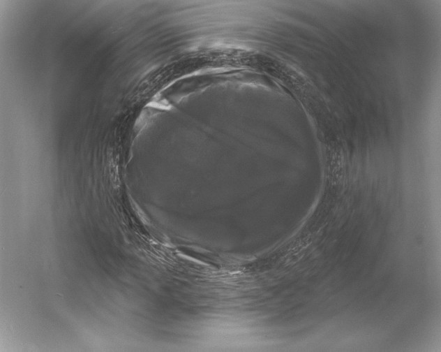 X0000052961013200508050942