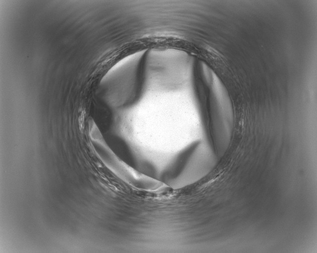 X0000052961014200508050942
