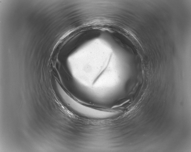 X0000052961018200508050943