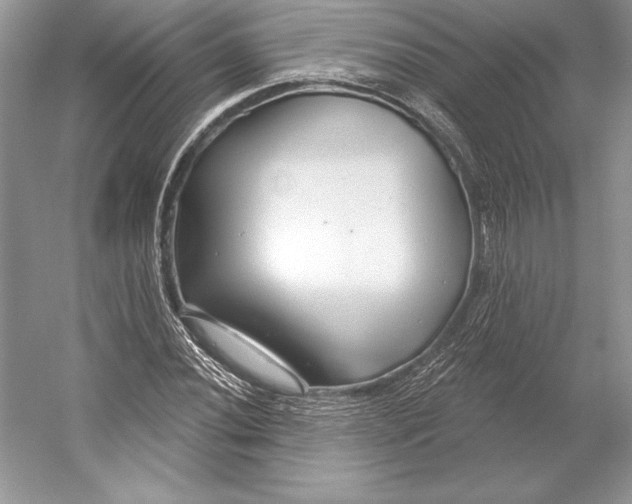 X0000052961020200508050943