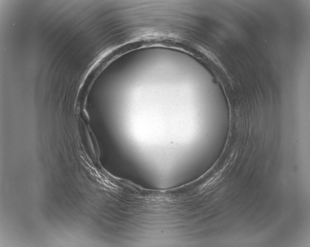 X0000052961021200508050943
