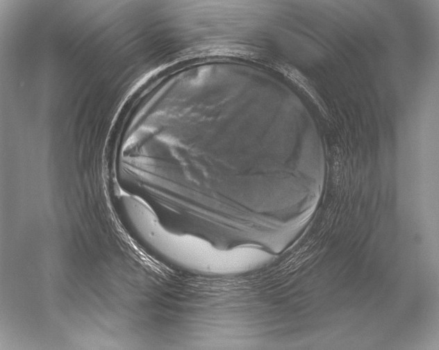 X0000052961024200508050943
