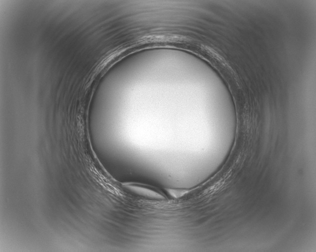 X0000052961025200508050943
