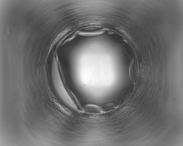 X0000052961026200508050943