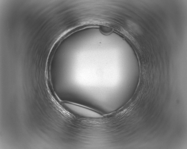 X0000052961028200508050943