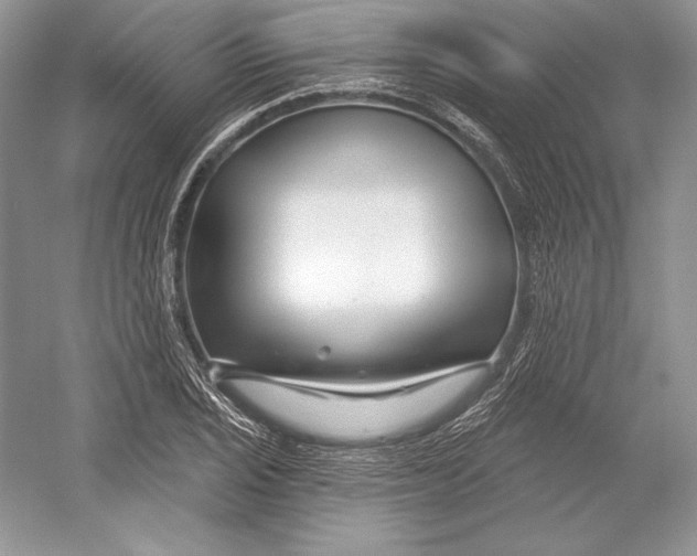 X0000052961029200508050943