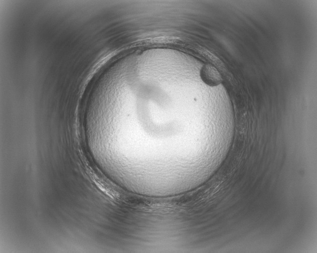 X0000052961031200508050943