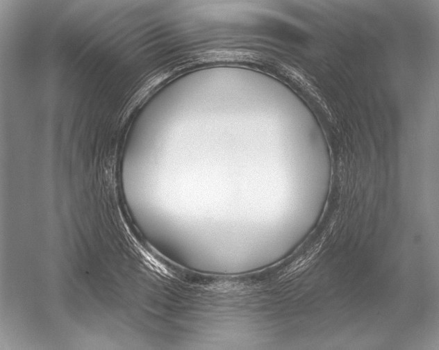 X0000052961033200508050943