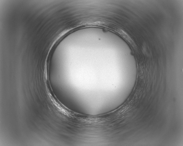 X0000052961036200508050943