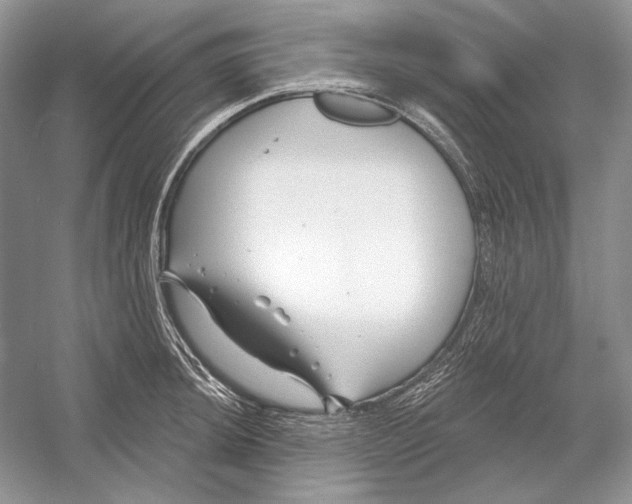 X0000052961044200508050943