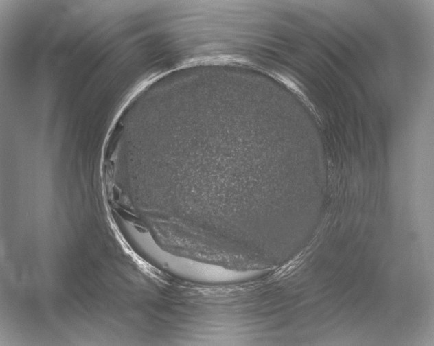 X0000052961046200508050943