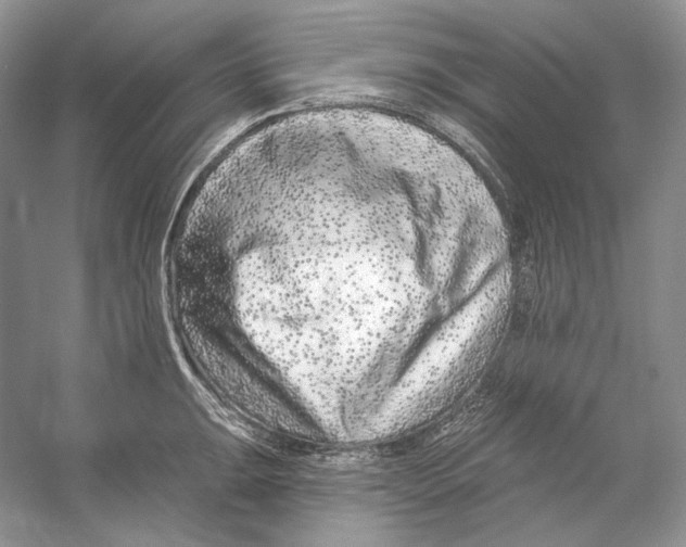 X0000052961047200508050943