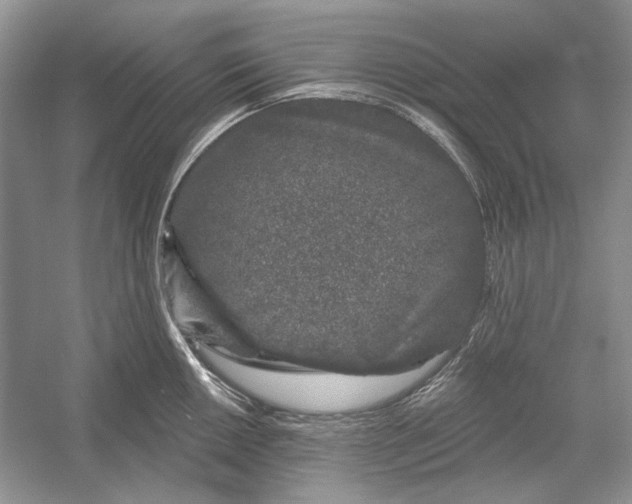 X0000052961050200508050943