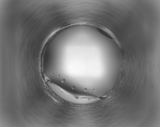 X0000052961051200508050943