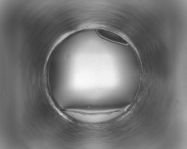 X0000052961053200508050943