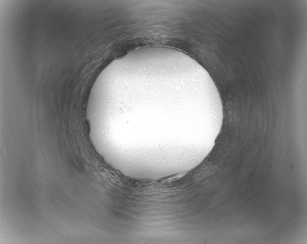 X0000052961057200508050942