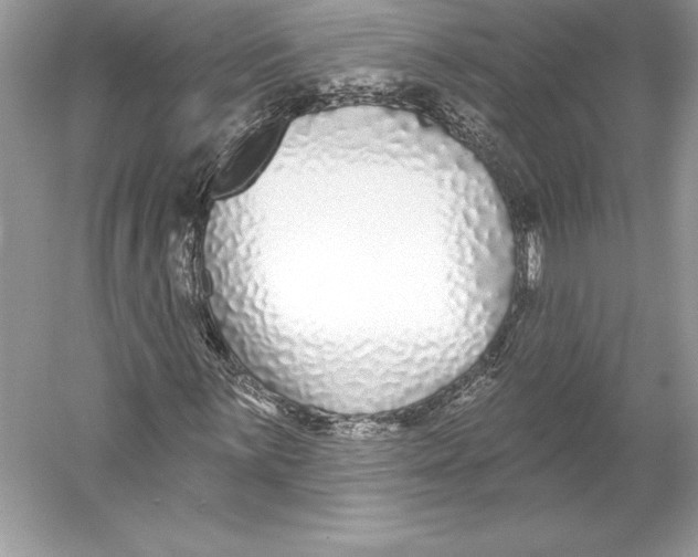 X0000052961059200508050942