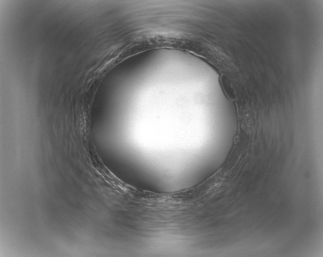 X0000052961061200508050942