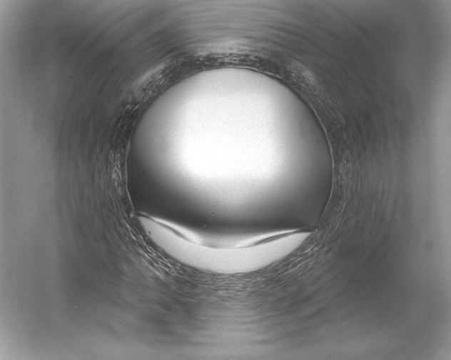X0000052961062200508050942