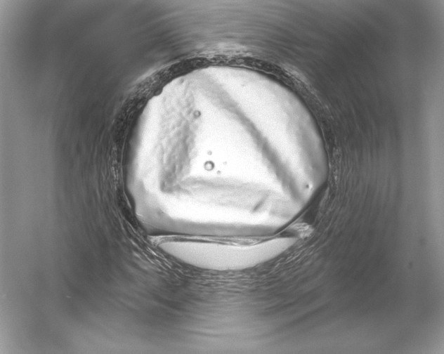 X0000052961063200508050942