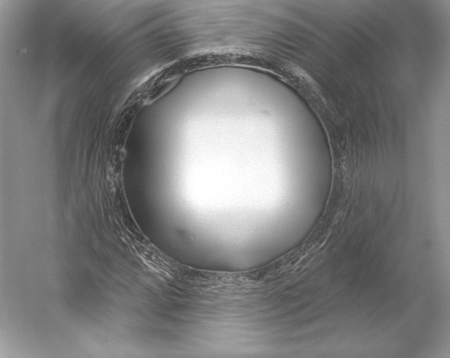 X0000052961064200508050942