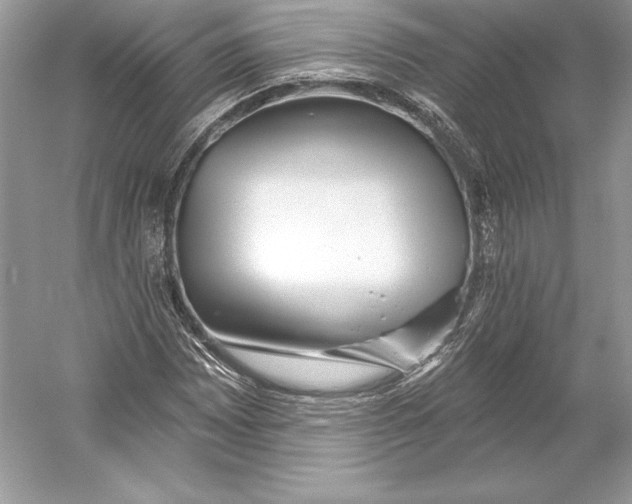 X0000052961065200508050942
