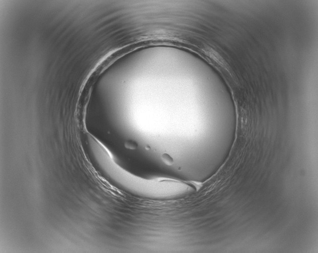 X0000052961068200508050942