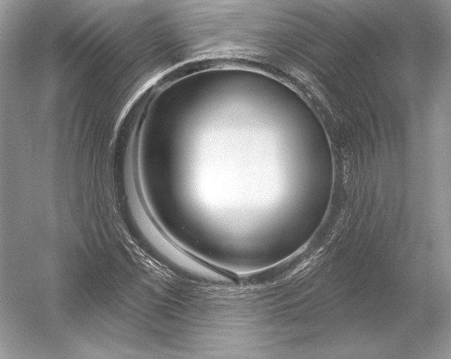 X0000052961069200508050942