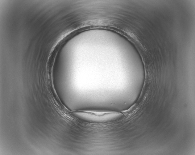 X0000052961070200508050942