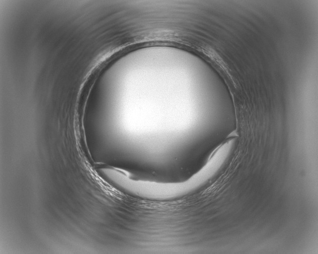 X0000052961072200508050942