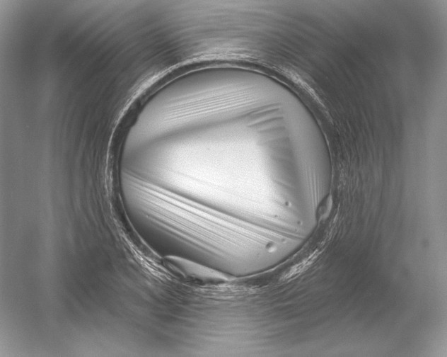X0000052961077200508050942